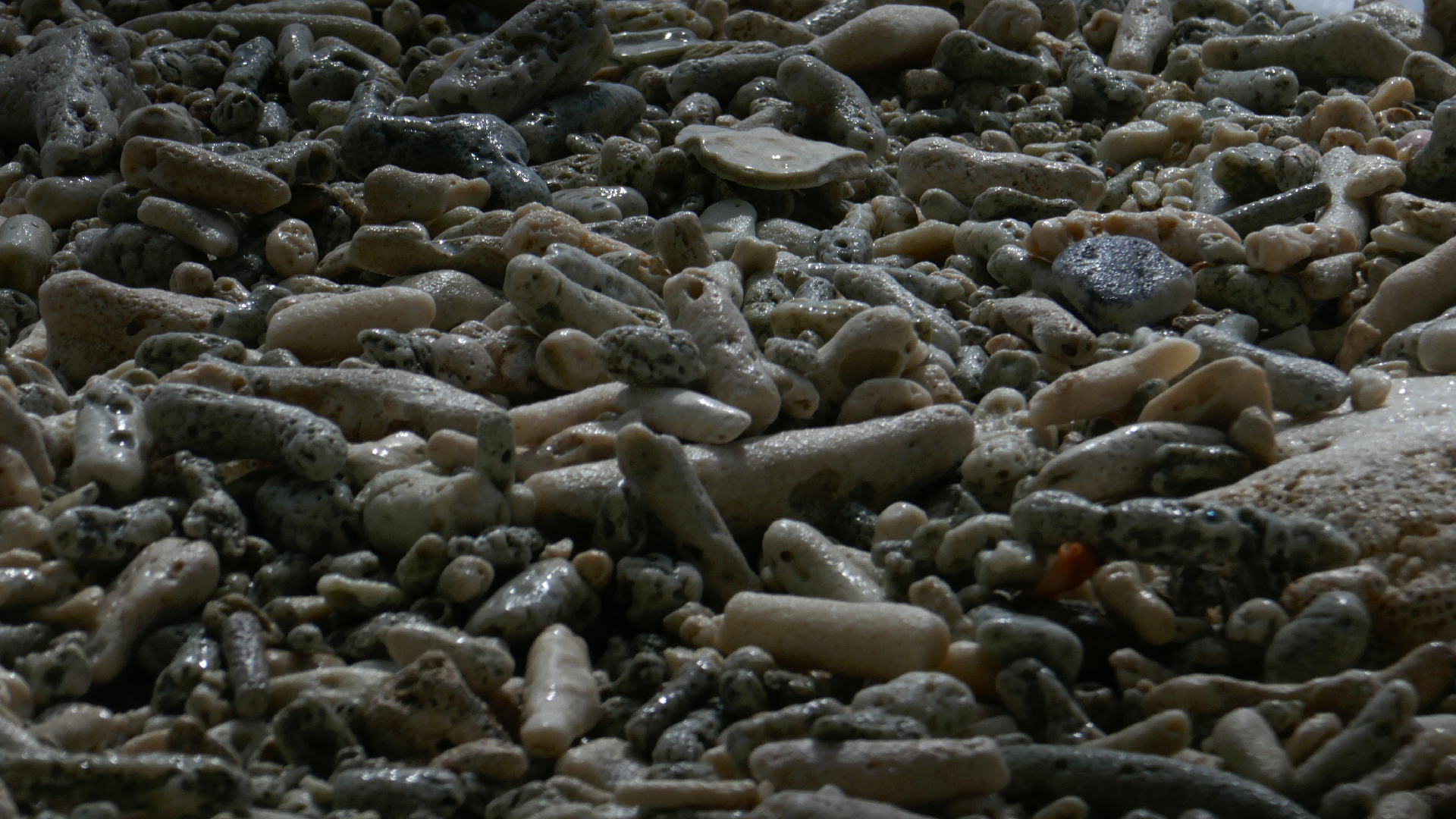 2022-10-29 13 Uhr 27 Playa Kalki (Foto, Video)